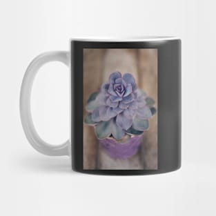 Purple Pearl in Pot Mug